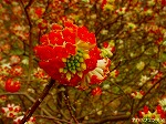 20070309 16.jpg
